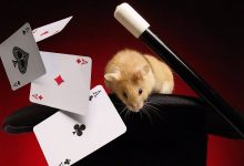 Какие карты нужны для покера